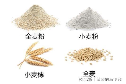 小麦是大米还是面粉的相关图片